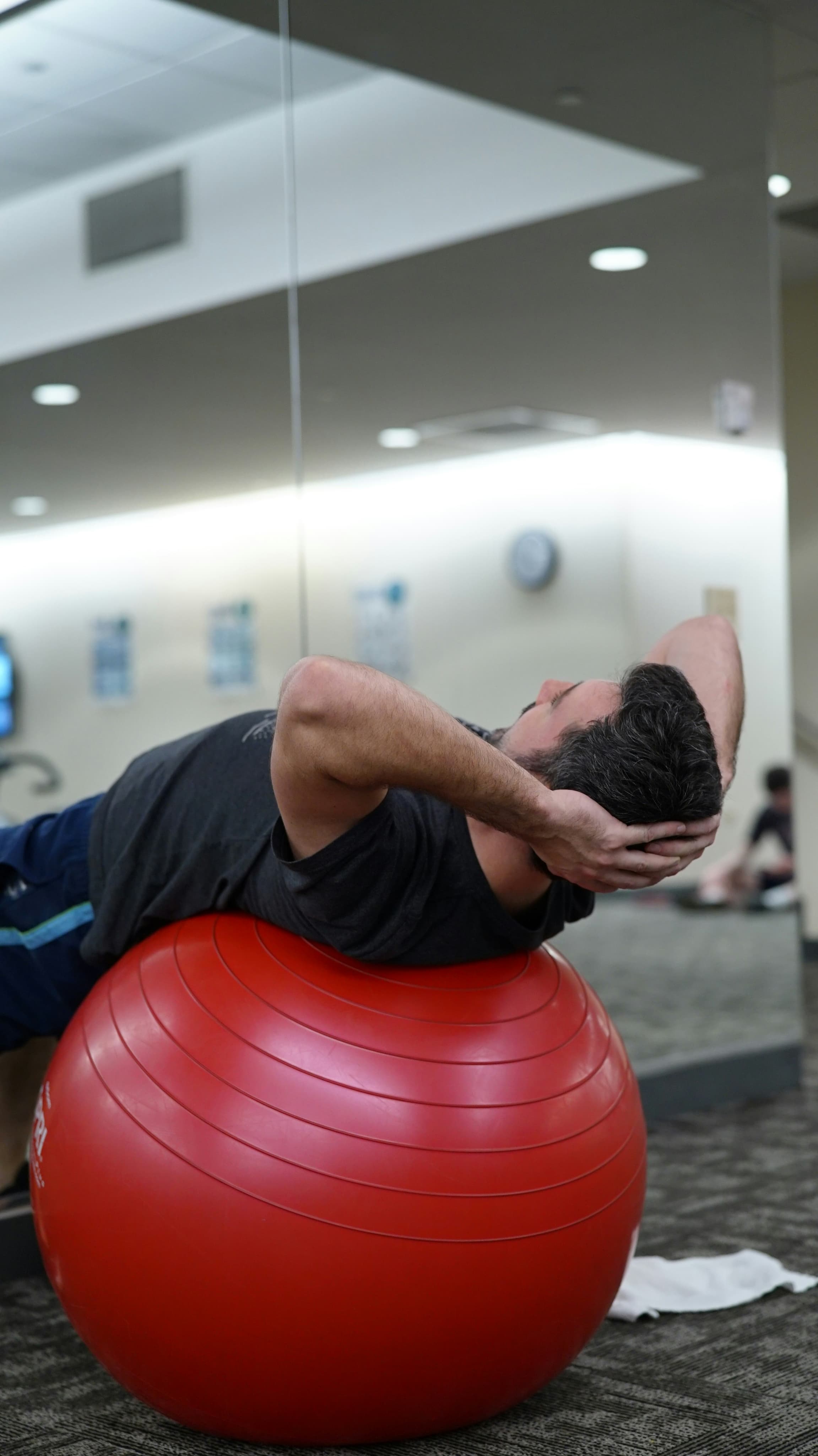 Swiss Ball Training